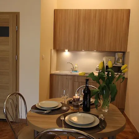 Apartments Sobieski&Soplica Cracovia Esterno foto